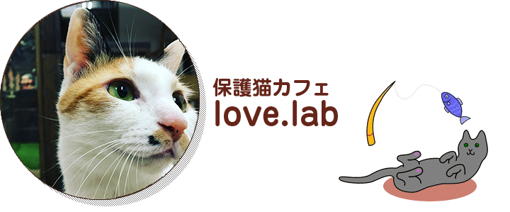 保護猫カフェlove.lab